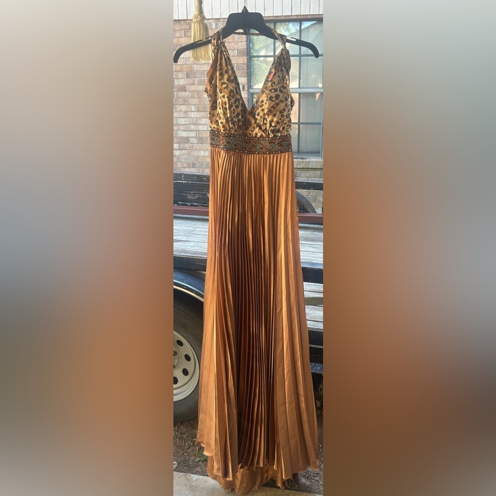 Leopard Print and Gold Pleated Dress